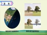 教科版科学六年级上册二 地球的运动 第7课 昼夜和四季变化对生物的影响课件+教案+素材