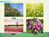 教科版科学六年级上册二 地球的运动 第7课 昼夜和四季变化对生物的影响课件+教案+素材