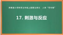 苏教版 (2017)五年级上册17 刺激与反应精品课件ppt