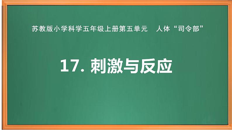 苏教版小学科学五上第五单元《17 刺激与反应》课件PPT+教案+视频素材01