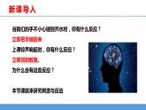 苏教版小学科学五上第五单元《17 刺激与反应》课件PPT+教案+视频素材