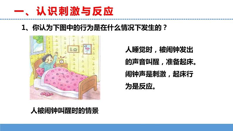 苏教版小学科学五上第五单元《17 刺激与反应》课件PPT+教案+视频素材04