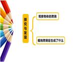 1.2燃烧的秘密（课件）冀人版科学五年级上册