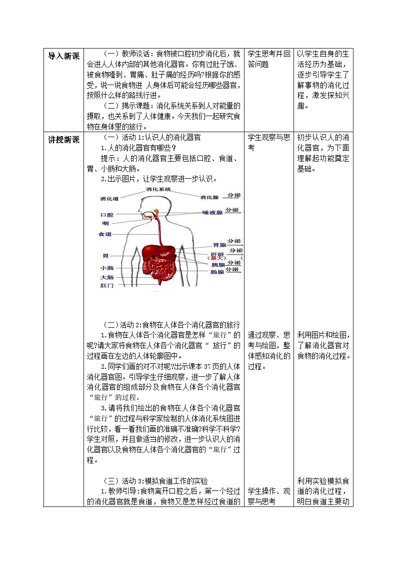 【核心素养目标】教科版小学科学四年级上册 2.8《食物在身体里的旅行》教案（含教学反思）02