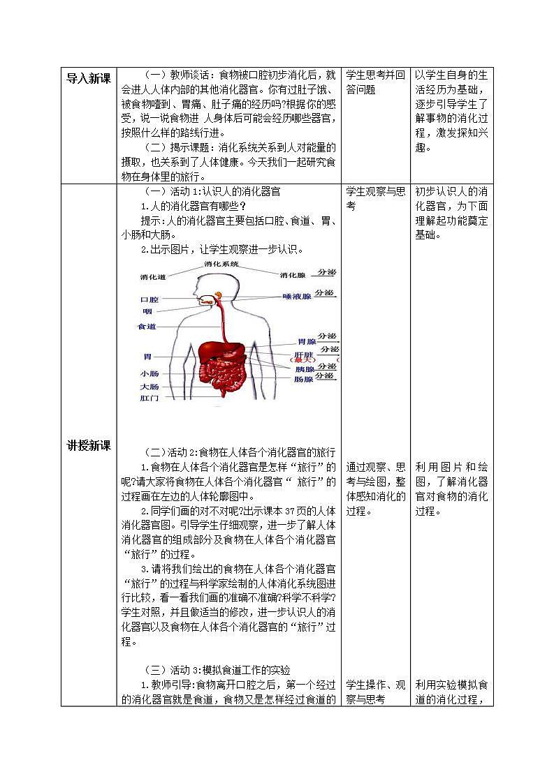 【核心素养目标】教科版小学科学四年级上册2.8《食物在身体里的旅行》 课件+教案(含教学反思)02