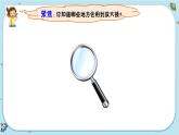 【核心素养】1.1《放大镜》课件PPT+教学详案