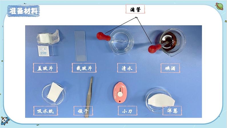 【核心素养】1.4《观察洋葱表皮细胞》课件PPT+教学详案05