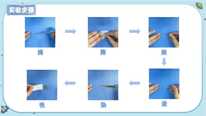 【核心素养】1.4《观察洋葱表皮细胞》课件PPT+教学详案06