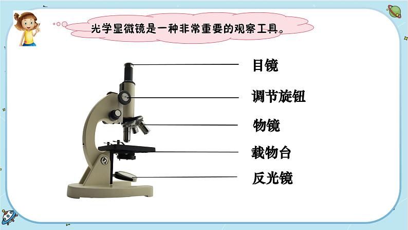 【核心素养】1.4《观察洋葱表皮细胞》课件PPT+教学详案07