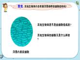 【核心素養(yǎng)】1.5《觀察更多的生物細(xì)胞》課件PPT+教學(xué)詳案