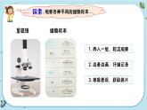 【核心素養(yǎng)】1.5《觀察更多的生物細(xì)胞》課件PPT+教學(xué)詳案