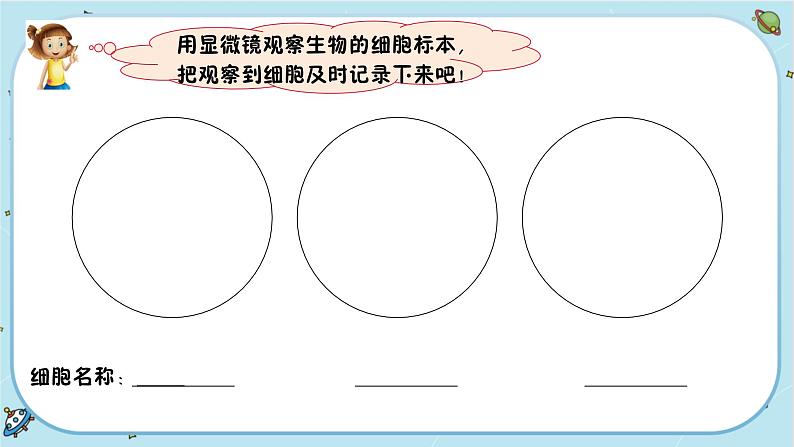 【核心素养】1.5《观察更多的生物细胞》课件PPT+教学详案05