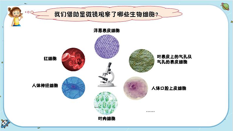 【核心素养】1.6《观察水中微小的生物》课件PPT+教学详案03