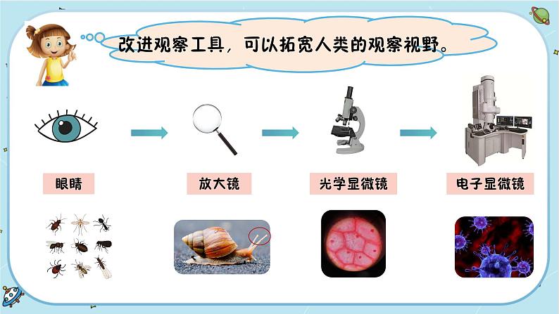 【核心素养】1.7《微生物与健康》课件PPT+教学详案03