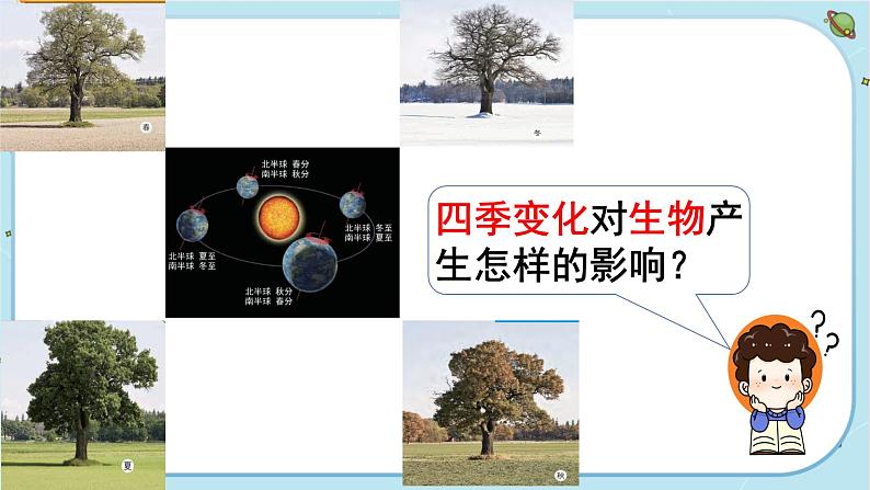 【核心素养】2.7《昼夜和四季变化对生物的影响》课件PPT+教学详案04