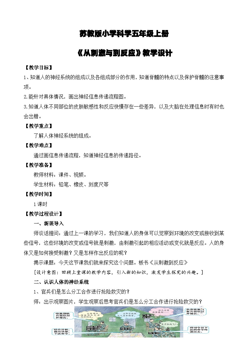 苏教版小学科学五上第五单元《18 从刺激到反应》课件PPT+教案+视频素材01