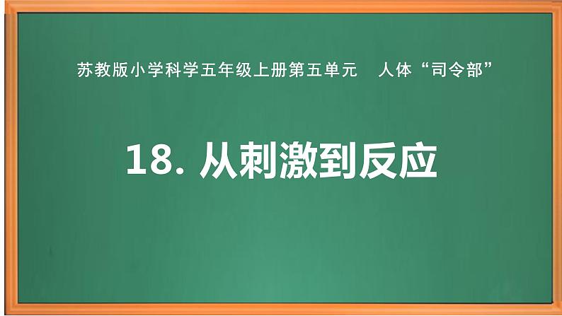 苏教版小学科学五上第五单元《18 从刺激到反应》课件PPT+教案+视频素材01