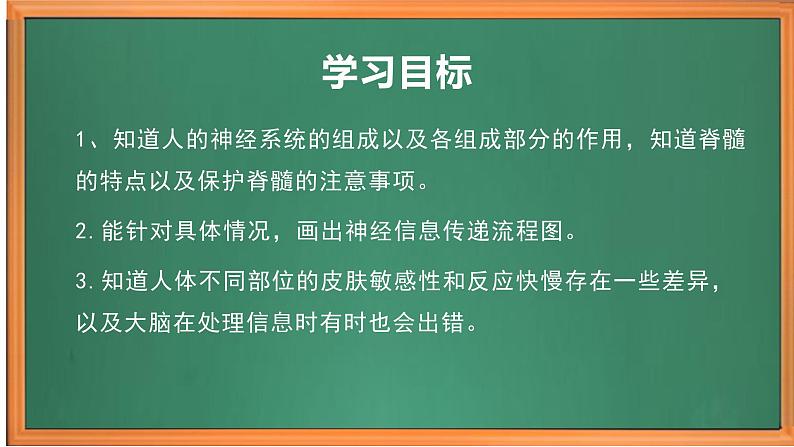 苏教版小学科学五上第五单元《18 从刺激到反应》课件PPT+教案+视频素材02