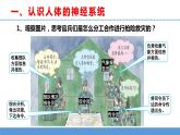 苏教版小学科学五上第五单元《18 从刺激到反应》课件PPT+教案+视频素材