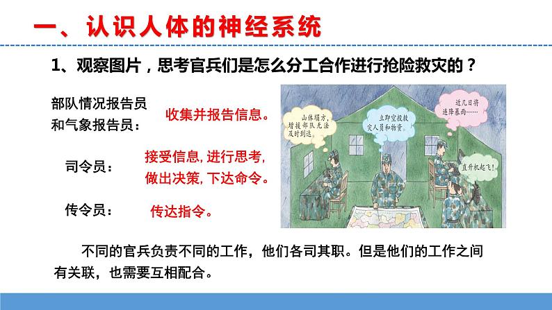 苏教版小学科学五上第五单元《18 从刺激到反应》课件PPT+教案+视频素材05