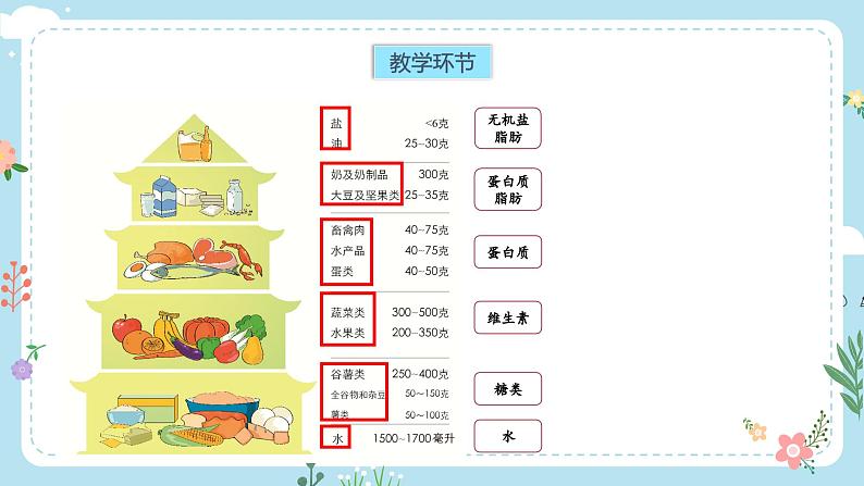 【核心素养目标】教科版小学科学四年级上册第一单元第2.6课时《营养要均衡》课件+教案+同步练习（含答案和教学反思）07