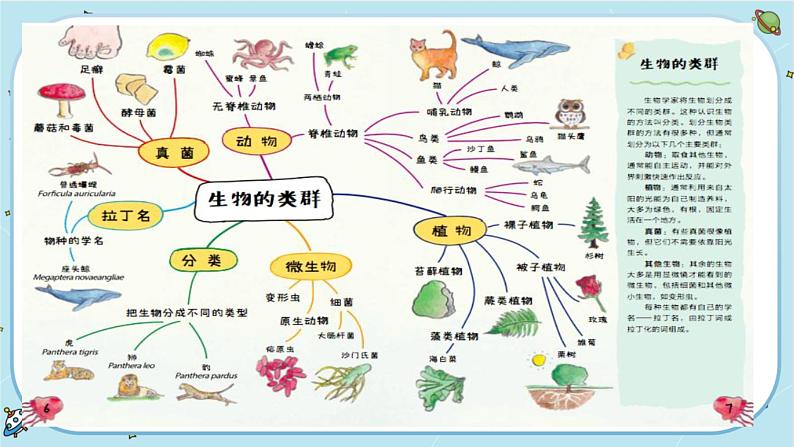 3《工具与技术》单元整理教学（课件PPT+教学详案）06