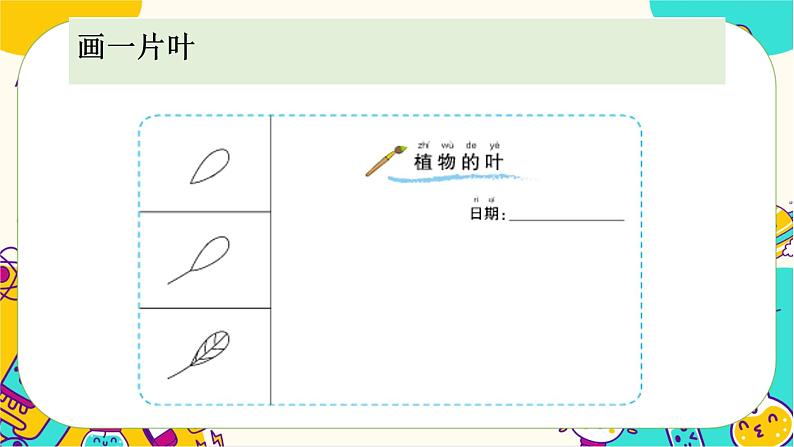 【核心素养】1-3《观察叶》课件PPT+教学详案07