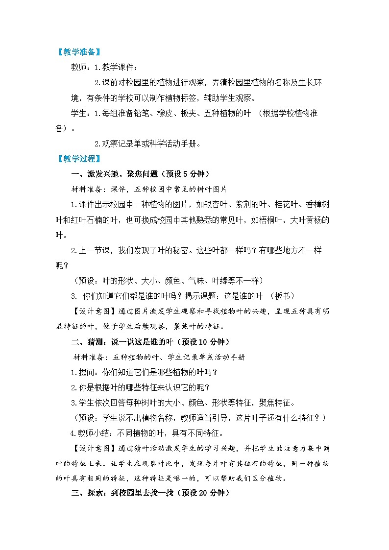 【核心素养】1-4《这是谁的叶》课件PPT+教学详案02