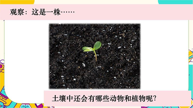 【核心素养】1-2《土壤——动植物的乐园》课件PPT+教学详案03