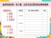 【核心素养】1-2《土壤——动植物的乐园》课件PPT+教学详案