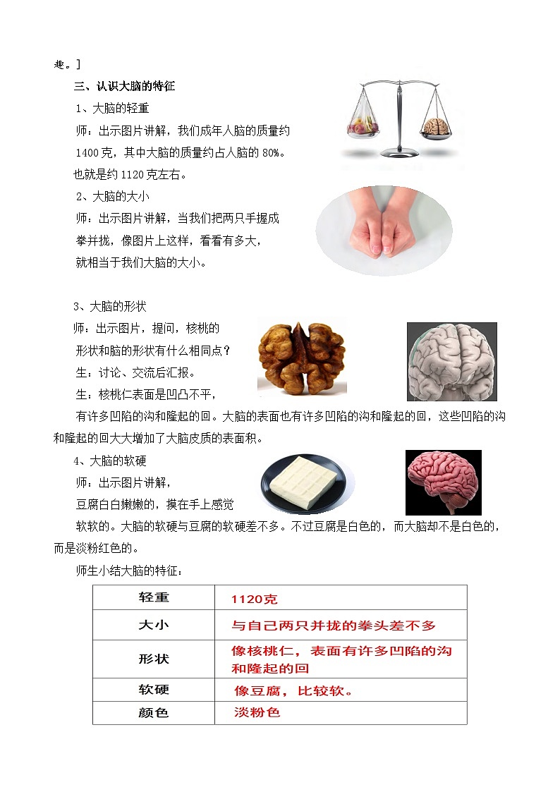苏教版小学科学五上第五单元《19 我们的大脑》课件PPT+教案+视频素材02