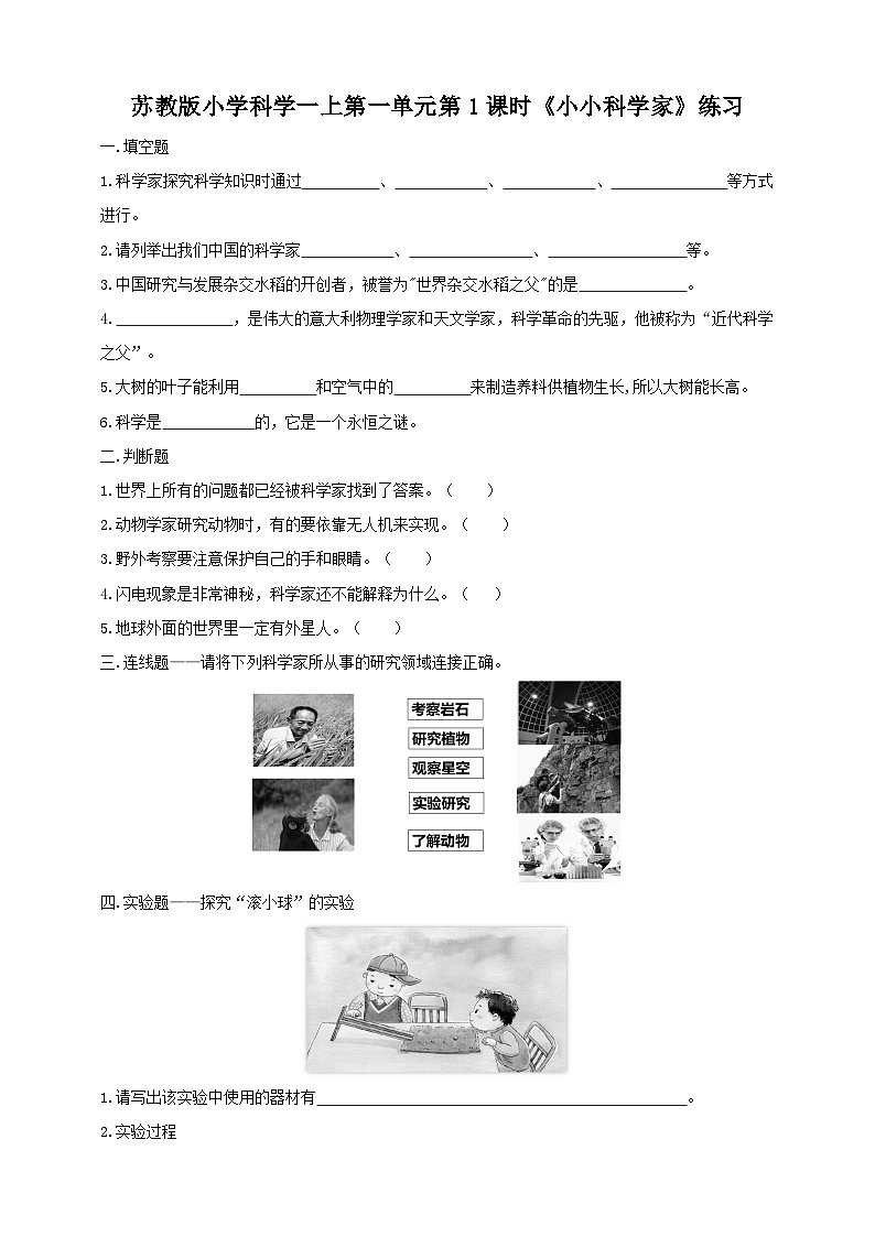 第一单元第1课时《小小科学家》课件+教案+练习01