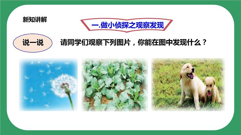第三单元第7课时《做个小侦探》课件+教案+练习03