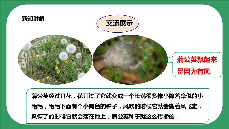 第三单元第7课时《做个小侦探》课件+教案+练习05