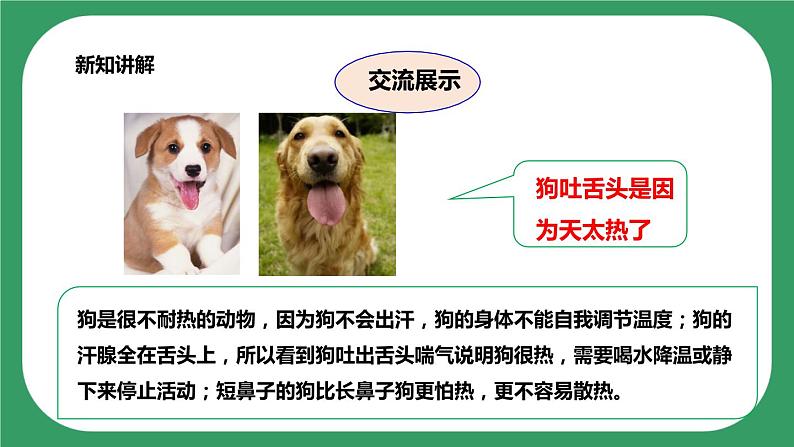 第三单元第7课时《做个小侦探》课件+教案+练习07