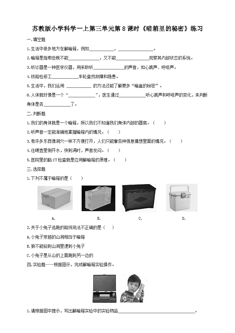 第三单元第8课时《暗箱里的秘密》课件+教案+练习01