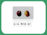 3《測量質(zhì)量》課件