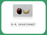 3《測量質(zhì)量》課件