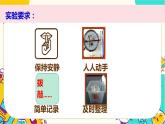 【核心素養(yǎng)】1.2《聲音是怎樣產(chǎn)生的》課件PPT+教學(xué)詳案