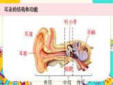 【核心素養(yǎng)】1.4《我們是怎樣聽到聲音的》課件PPT+教學(xué)詳案