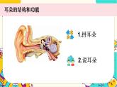 【核心素養(yǎng)】1.4《我們是怎樣聽到聲音的》課件PPT+教學(xué)詳案