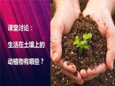 教科版二上第1單元第2課-土壤——?jiǎng)又参锏臉穲@ 課件
