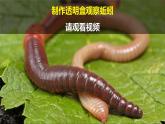 教科版二上第1單元第2課-土壤——?jiǎng)又参锏臉穲@ 課件