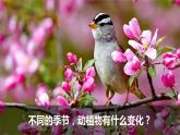教科版二上第1單元第6課-不同的季節(jié) 課件
