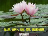 教科版二上第1單元第7課-做大自然的孩子 課件