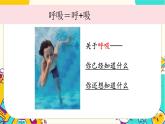 【核心素养】2.1《感受我们的呼吸》课件PPT+教学详案