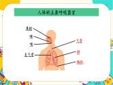 【核心素养】2.1《感受我们的呼吸》课件PPT+教学详案