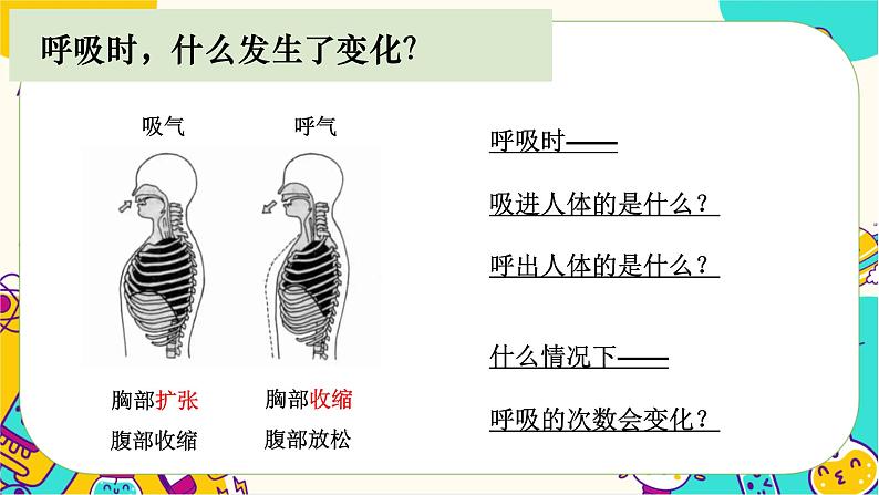 四上2.2呼吸与健康生活第3页