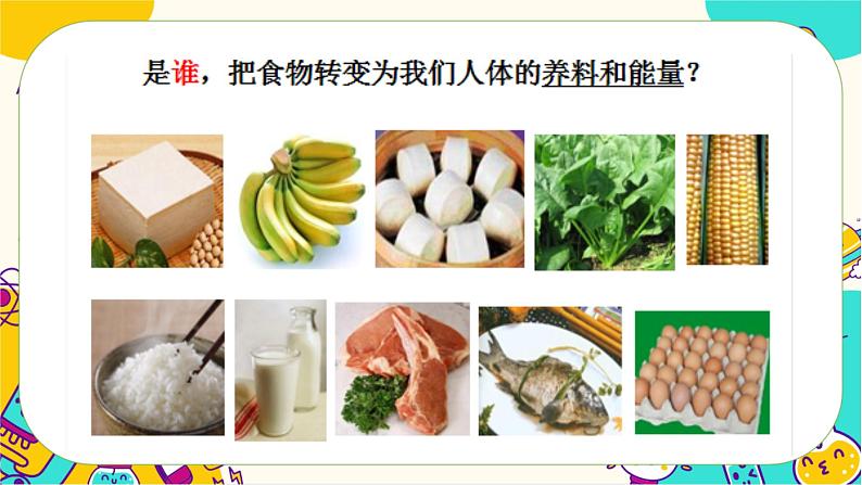 【核心素养】2.7《食物在口腔里的变化》课件PPT+教学详案03