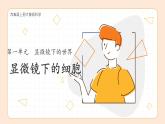 大象版科学六年级上册 1.1  显微镜下的细胞 教学课件+同步练习
